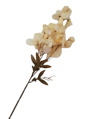 Kunstzweig Pea Flower cream