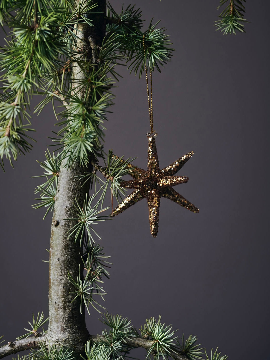 Weihnachtsstern HDSpike goldbraun, in 2 Größen