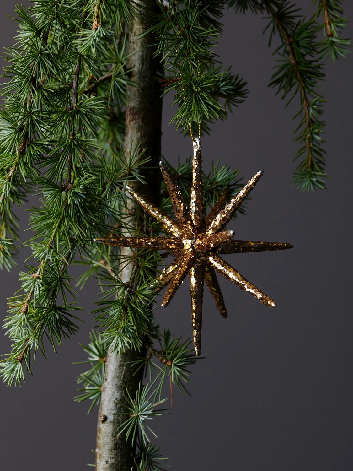 Weihnachtsstern HDSpike goldbraun, in 2 Größen