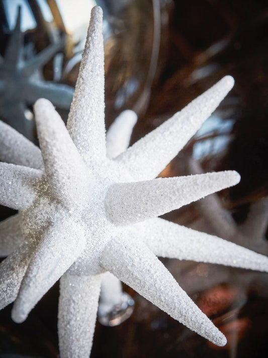 Weihnachtsstern HDSpike weiß, in 2 Größen