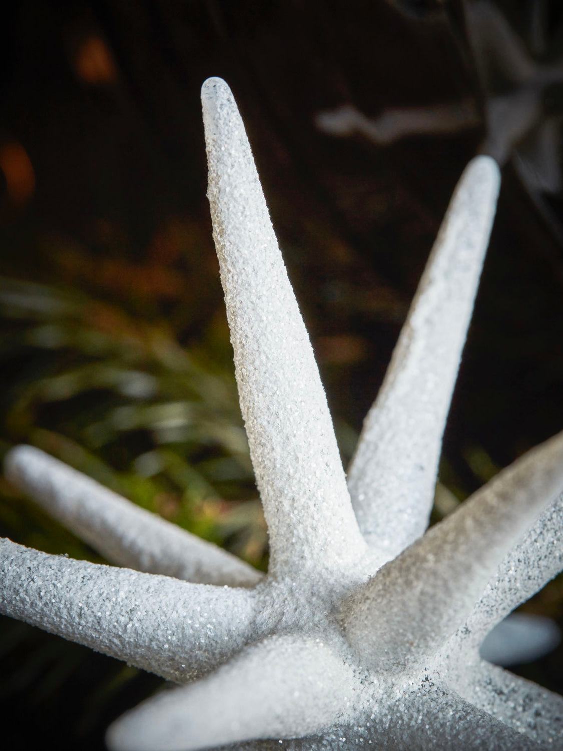 Weihnachtsstern HDSpike weiß, in 2 Größen