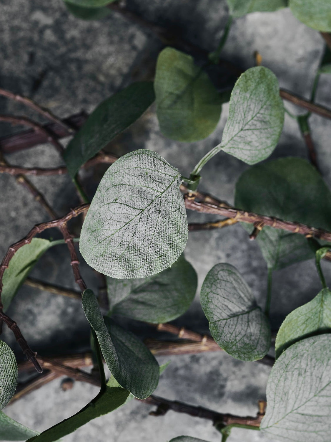 Kunstzweig Eucalyptus natur 80cm