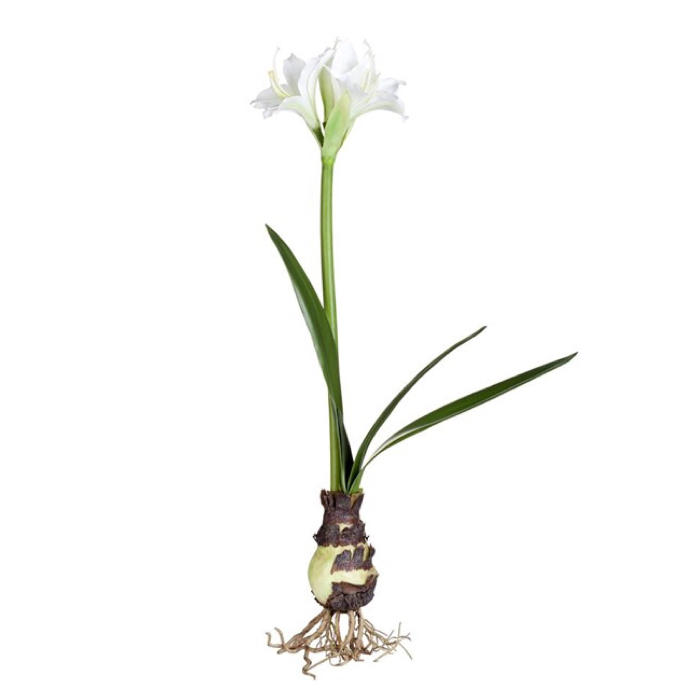 Kunstblume Amaryllis large, 55cm